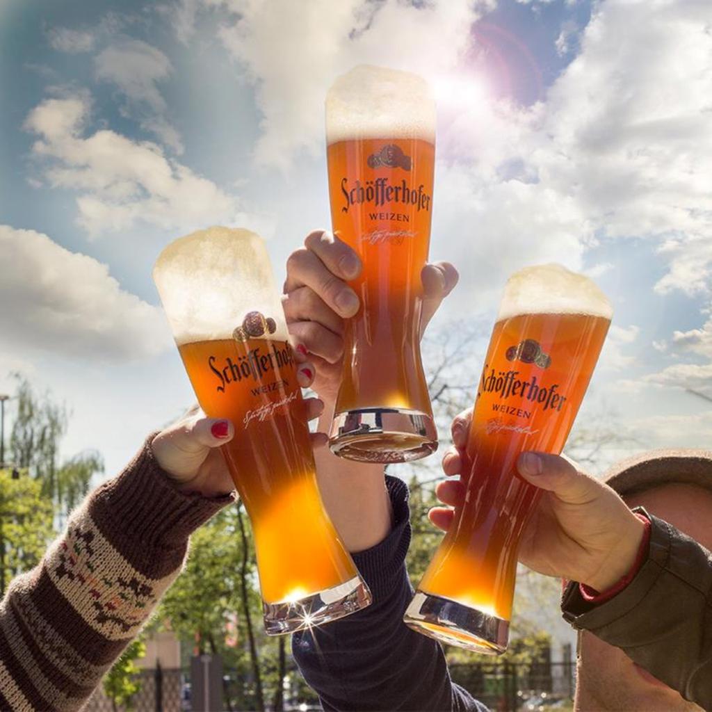Schofferhofer Cerveza Hefeweizen Importada 5 Unidades / 500 mL + Copa