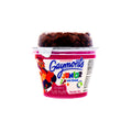 Yogurt Gaymont´S Junior Con Cereal Sabor Tutti Frutti 100 Gr
