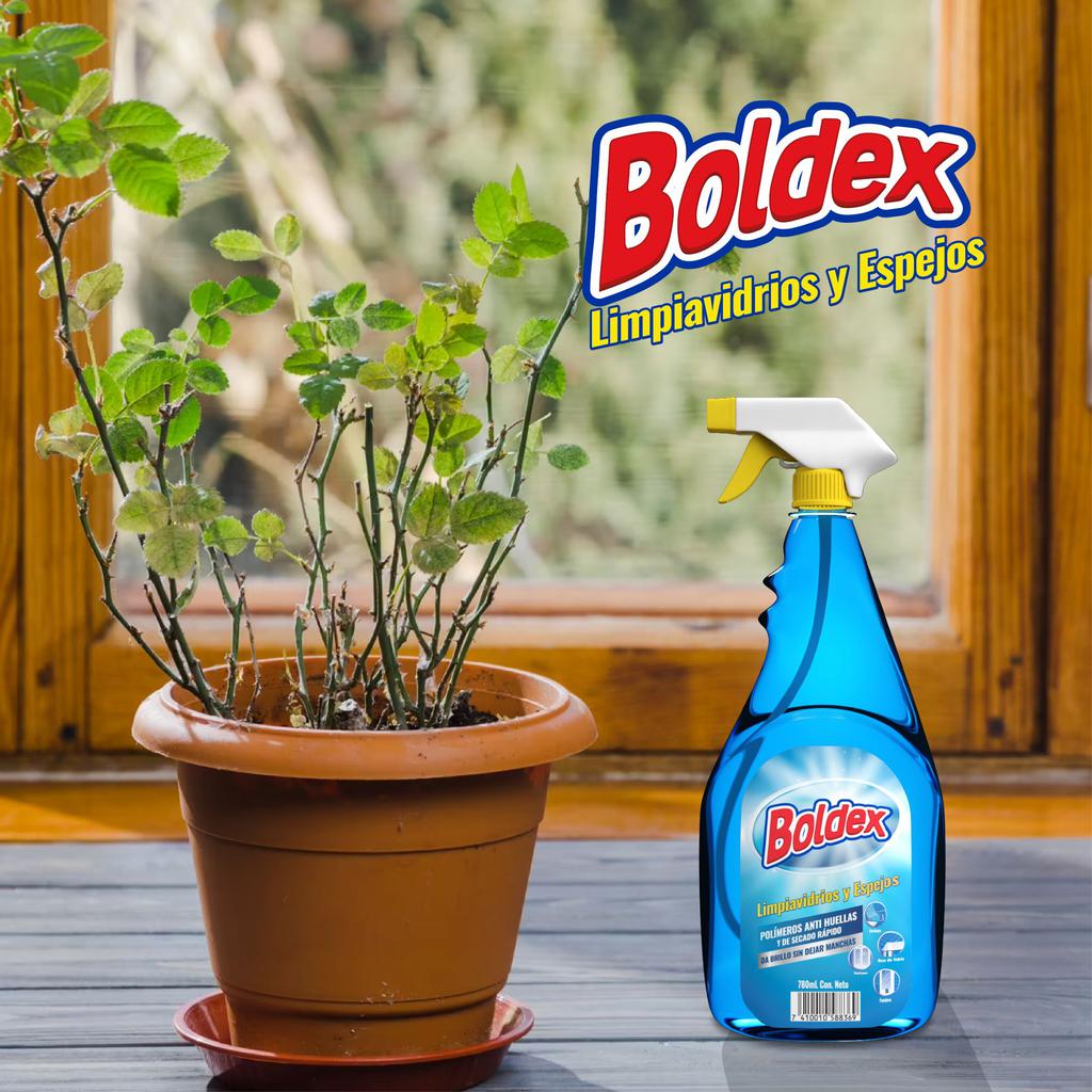 Boldex Limpia Vidrios 3.78 L + Válvula 780 mL
