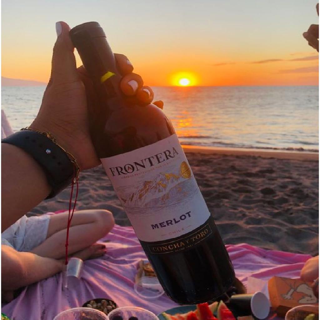 Frontera Vino Tinto Merlot 750 mL / 25.36 oz