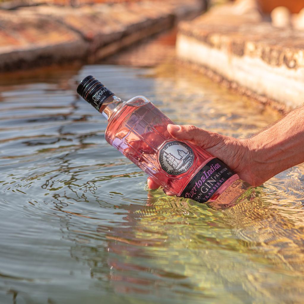 Puerto de Indias Ginebra Premium con Sabor a Fresa 750 mL / 25.36 oz